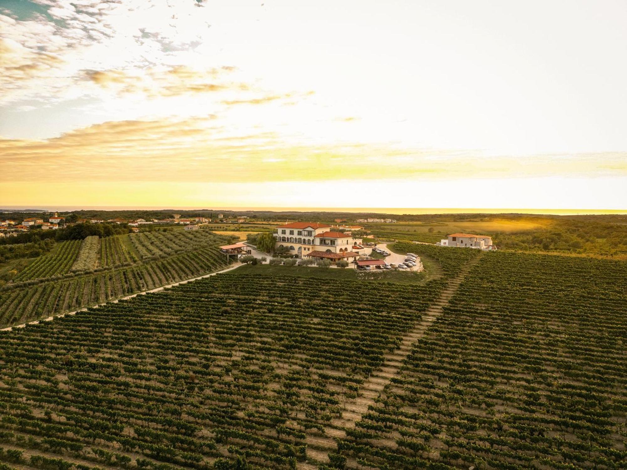 Wine Residence Cattunar 布罗托尼贾 外观 照片